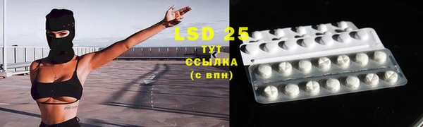 мдпв Бородино