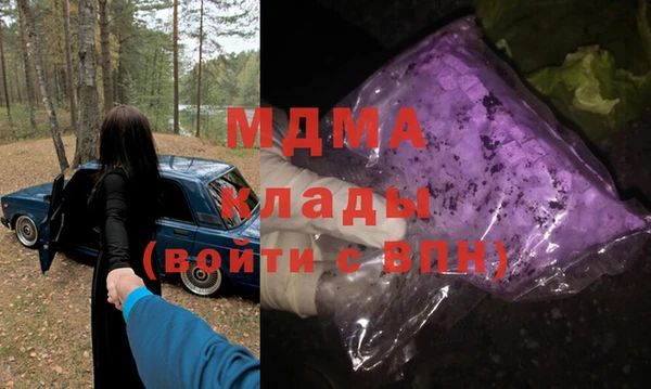 мдпв Бородино