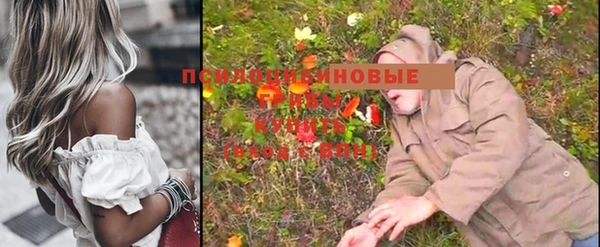 мдпв Бородино