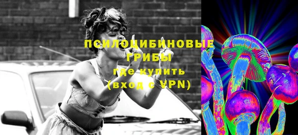 мдпв Бородино