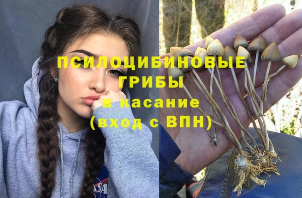 мдпв Бородино