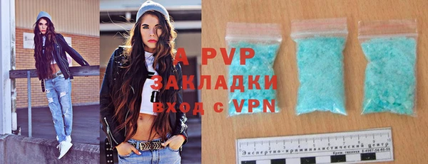 мдпв Бородино