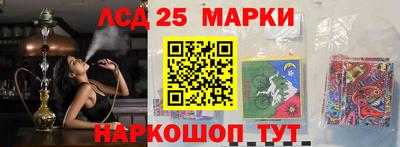 дмт Гатчина