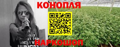 дмт Гатчина