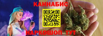 дмт Гатчина