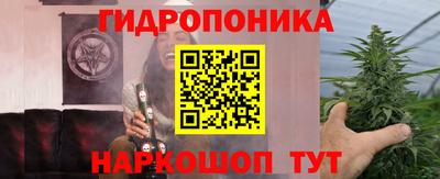 дмт Гатчина