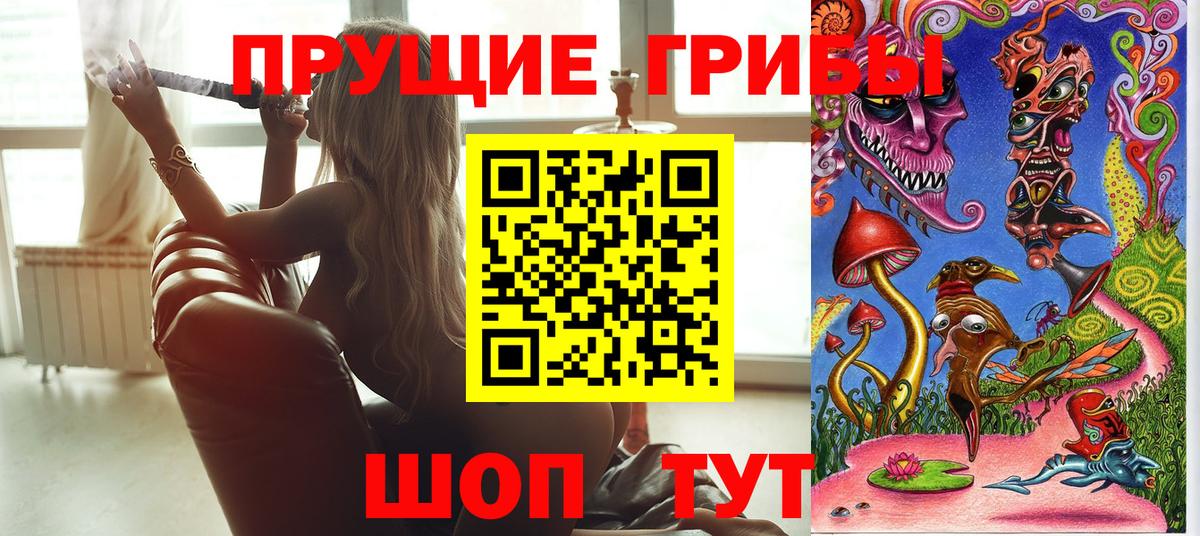 Галлюциногенные грибы прущие грибы  Дальнереченск  Галлюциногенные грибы Cubensis 