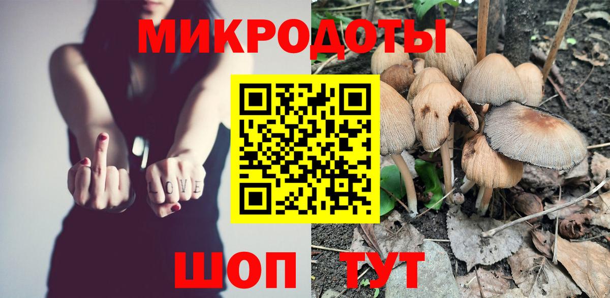 Псилоцибиновые грибы GOLDEN TEACHER  Вход с VPN  Дальнереченск  Псилоцибиновые грибы Psilocybe 